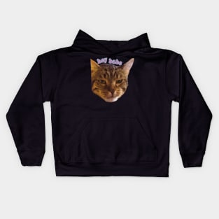 Hey babe tabby cat funny meme Kids Hoodie